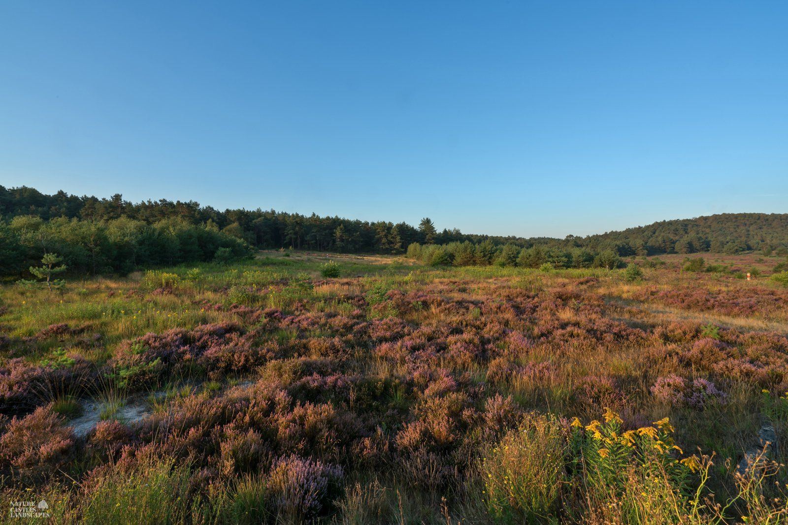 beautiful morning sky at the former military training ground