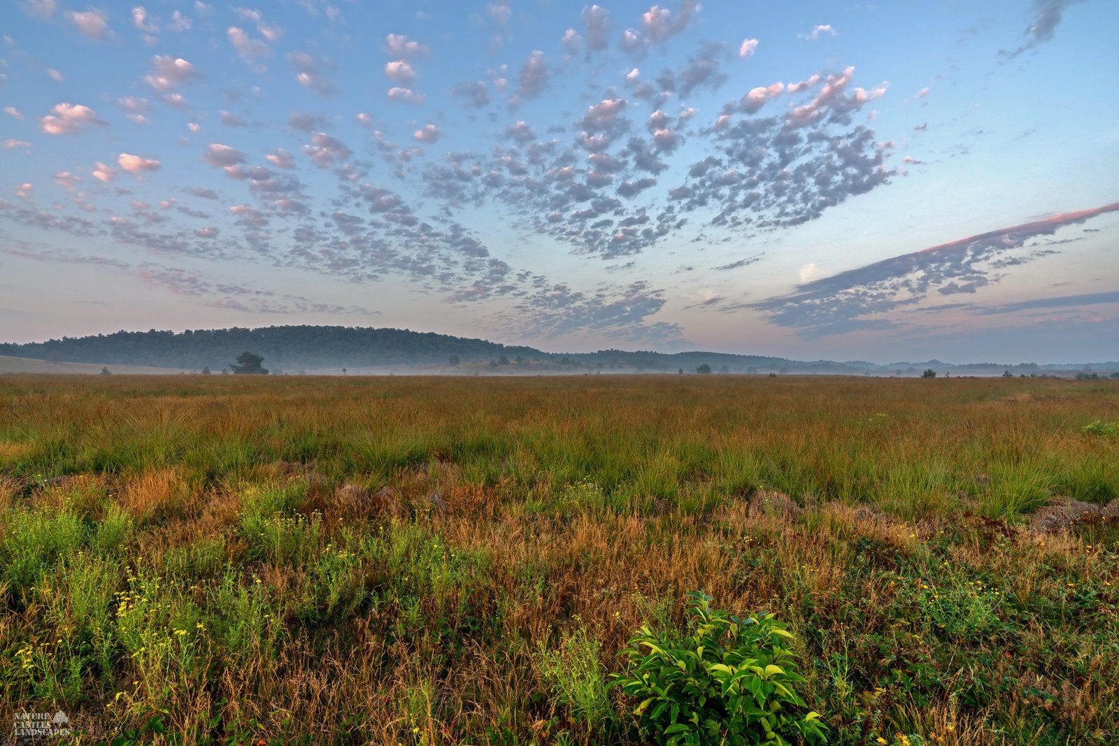 beautiful morning sky at the abandoned military training ground