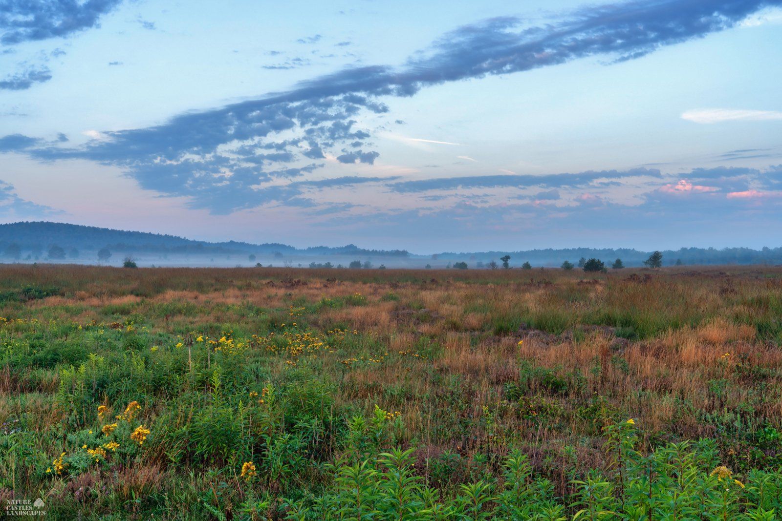 colorful morning sky at the hidden heathland