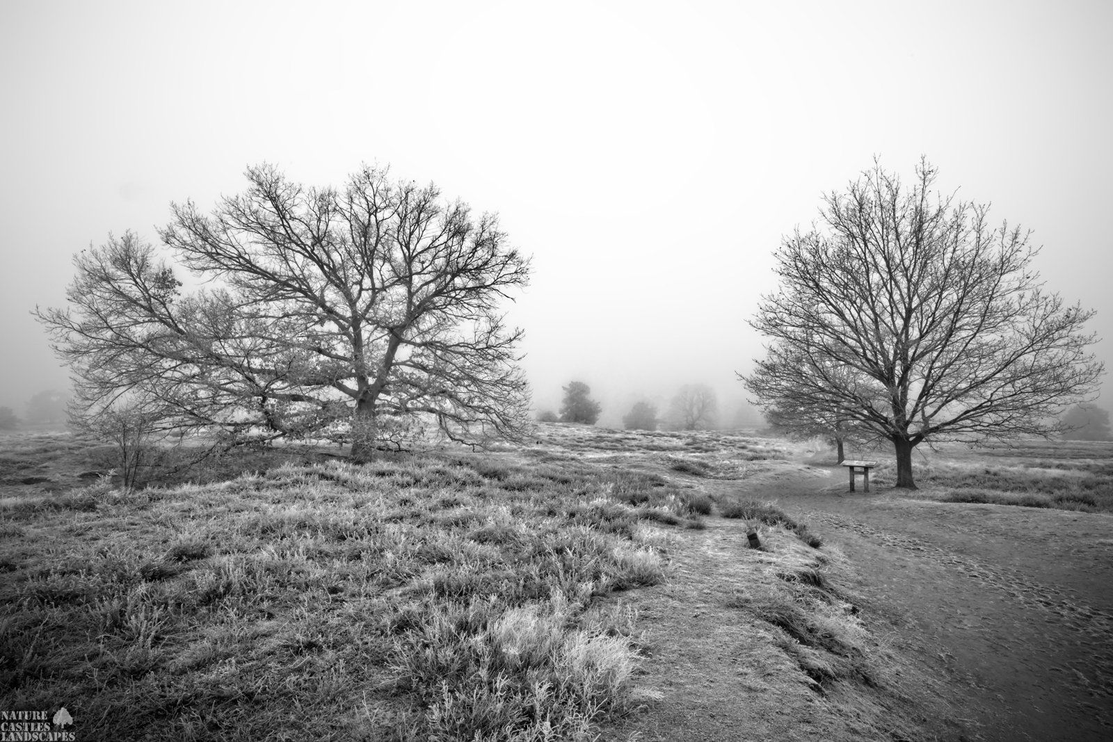 wanderweg im nebel neujahrmorgen westruper heide