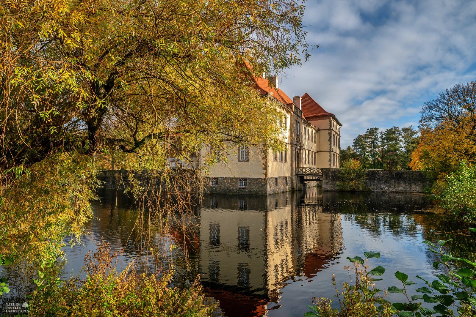 sonnenlicht in der weide vor schloss struenkede
