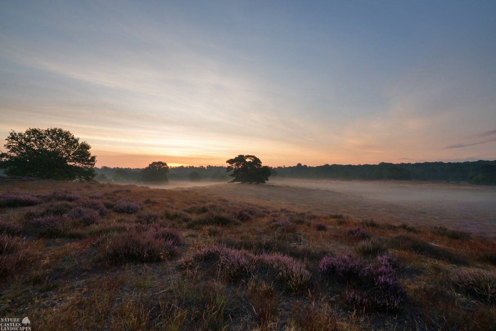 sunrise in the westruper heath