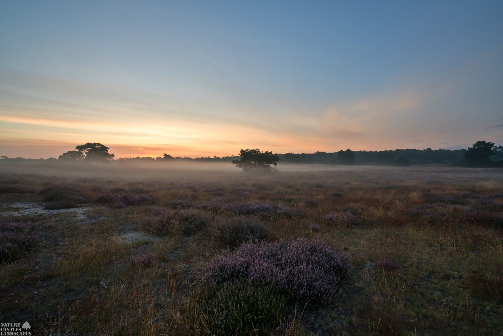 foggy sunrise in the westruper heathland