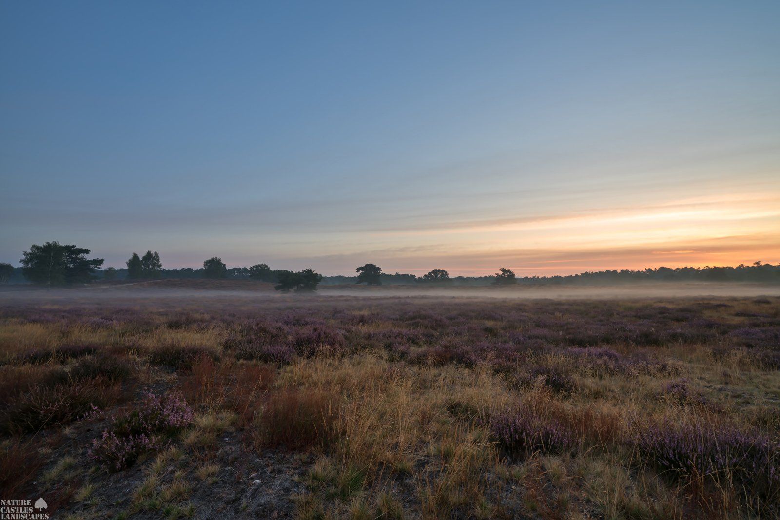 foggy sunrise in the westruper heath
