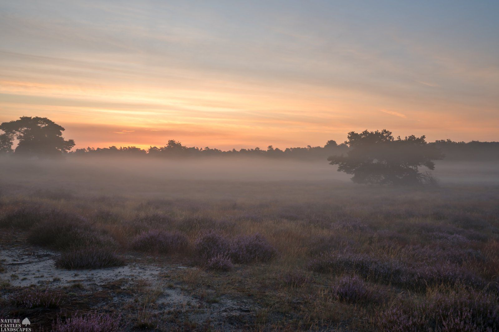 sonnenaufgang in der westruper heide