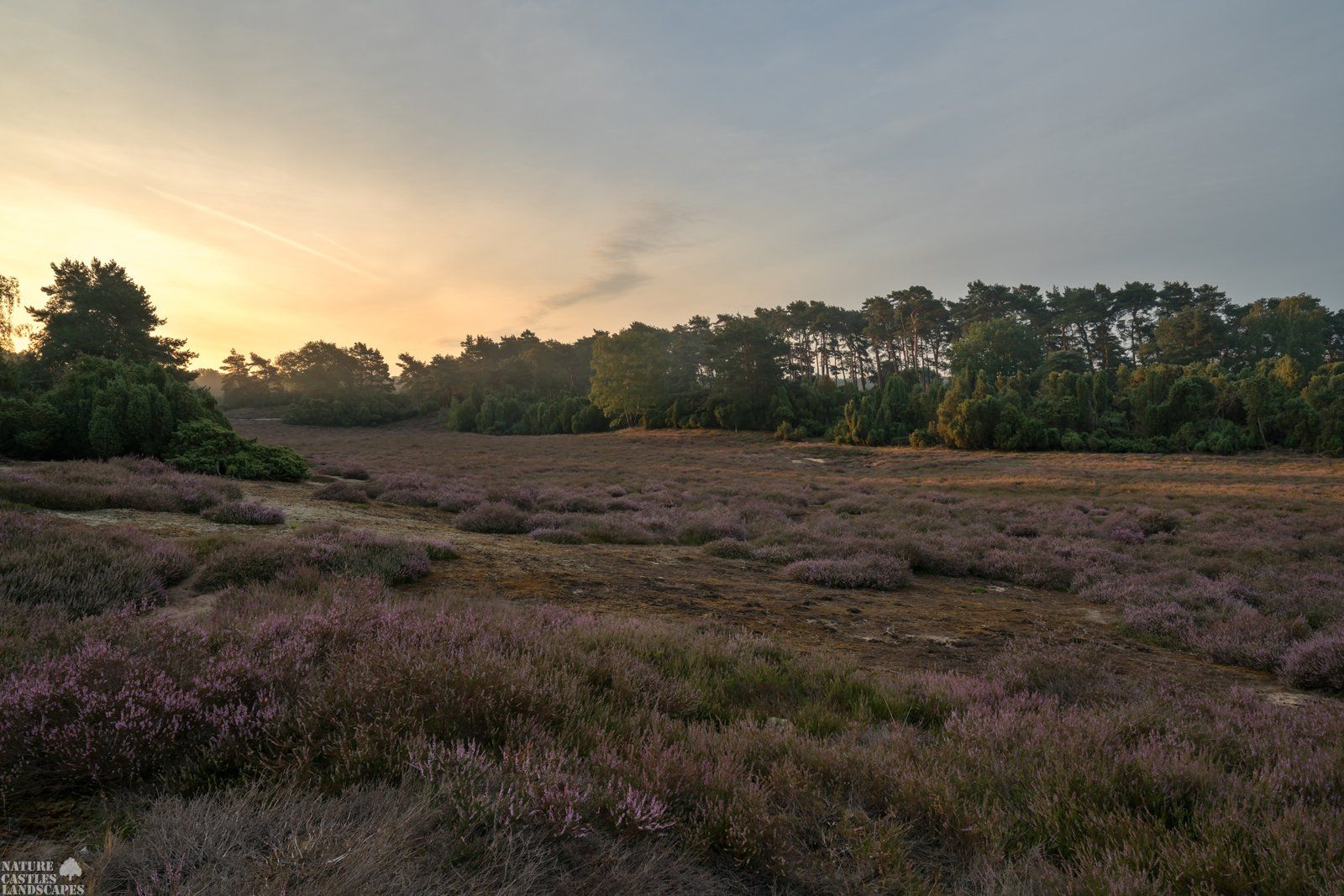 sonnenaufgang in der westruper heide in haltern