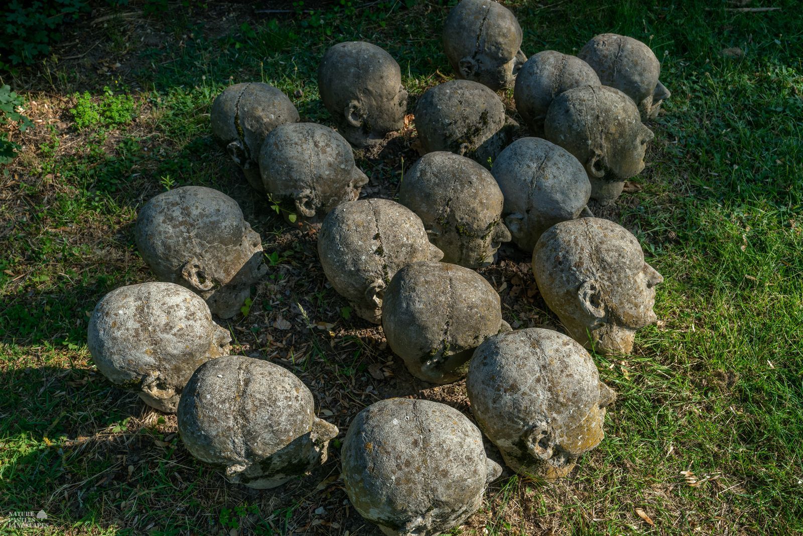 Picture of an art installation