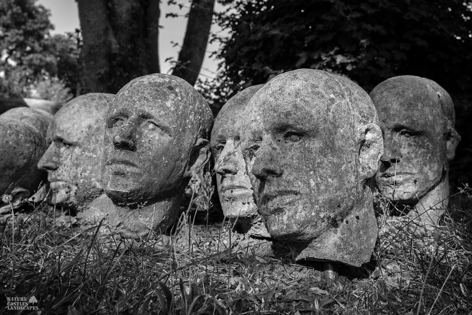 Photograph of an art installation on a graveyard in germany