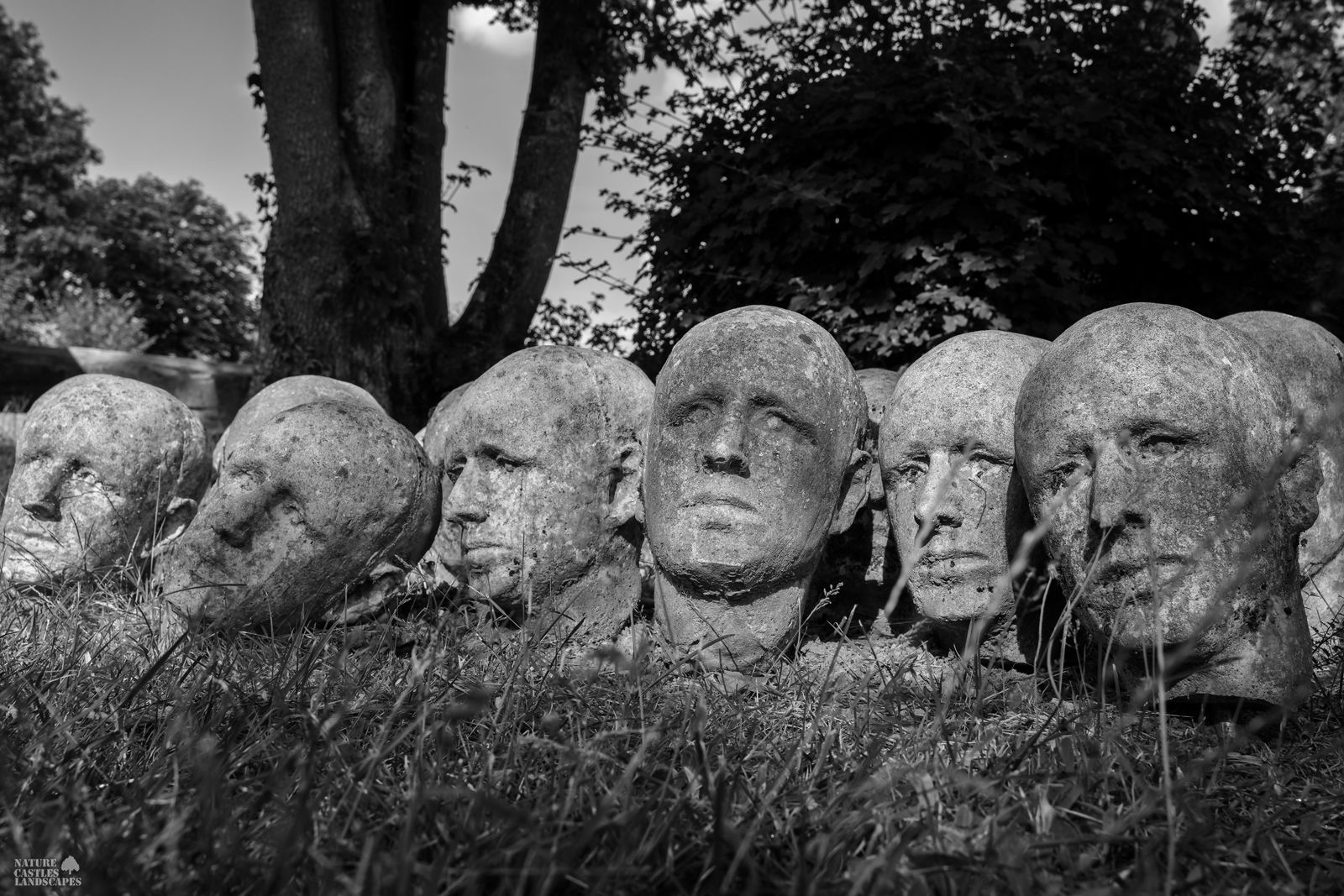 black and white Photograph of an art installation