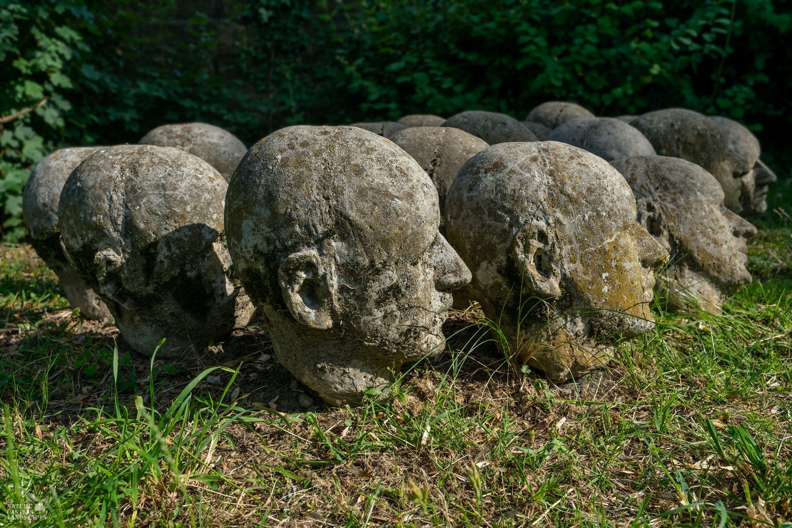 Photograph of an art installation on a graveyard