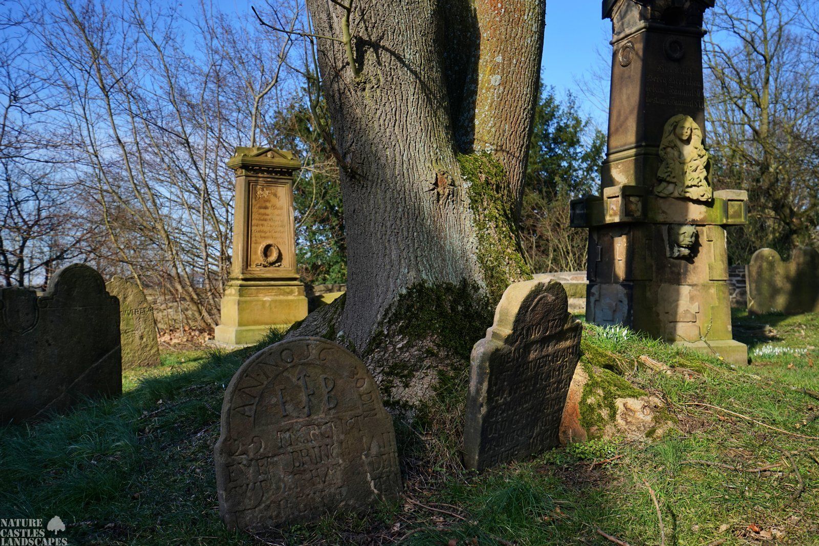 Springtime at the cementary