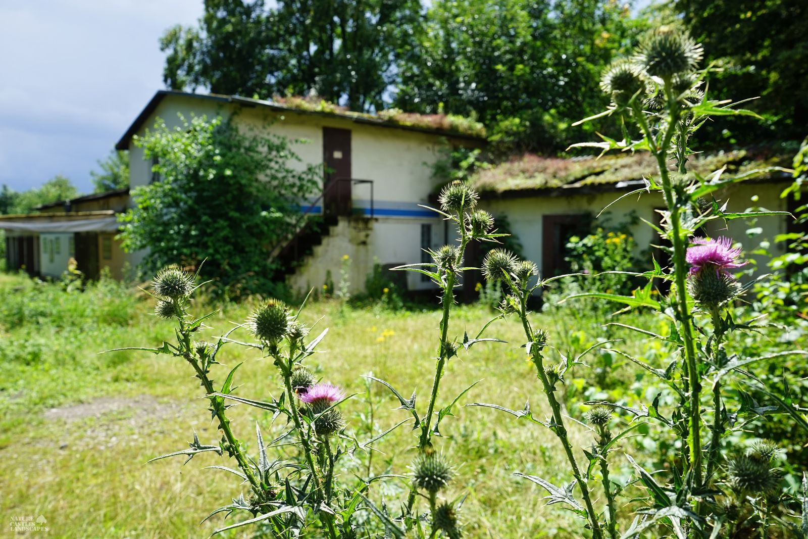 abandoned buildings on the old race track in Recklinghausen