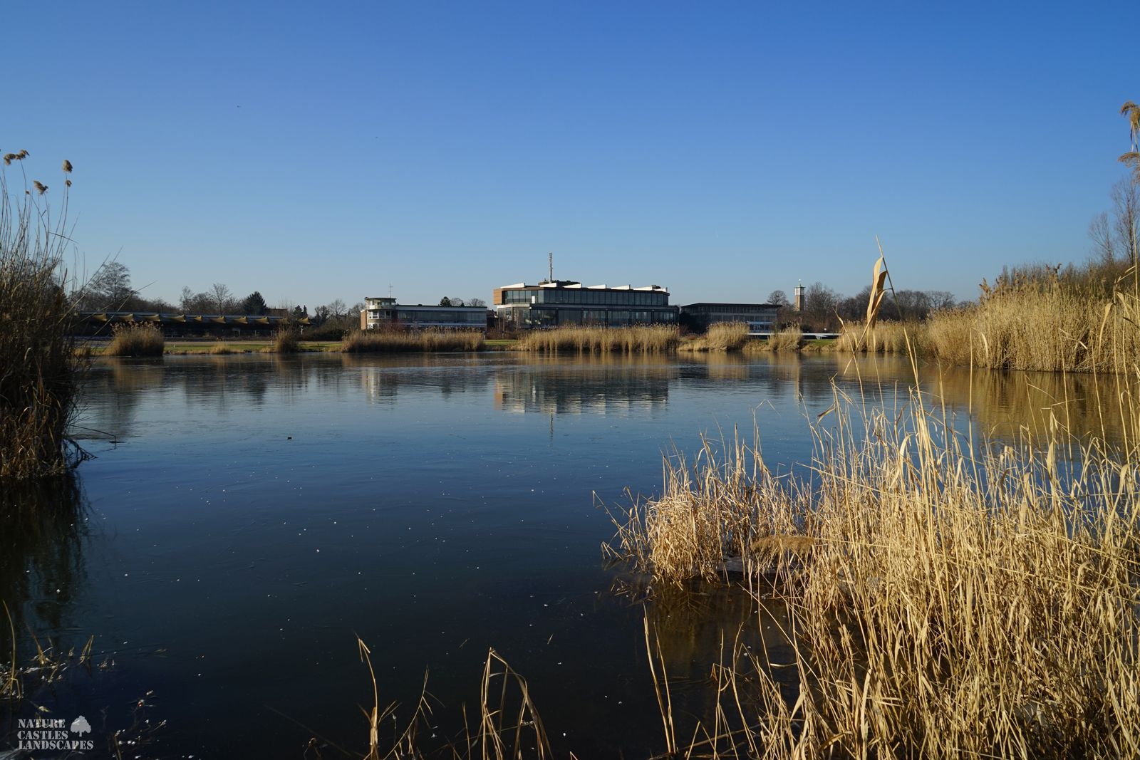 frozen lake at the old race track in Recklinghausen