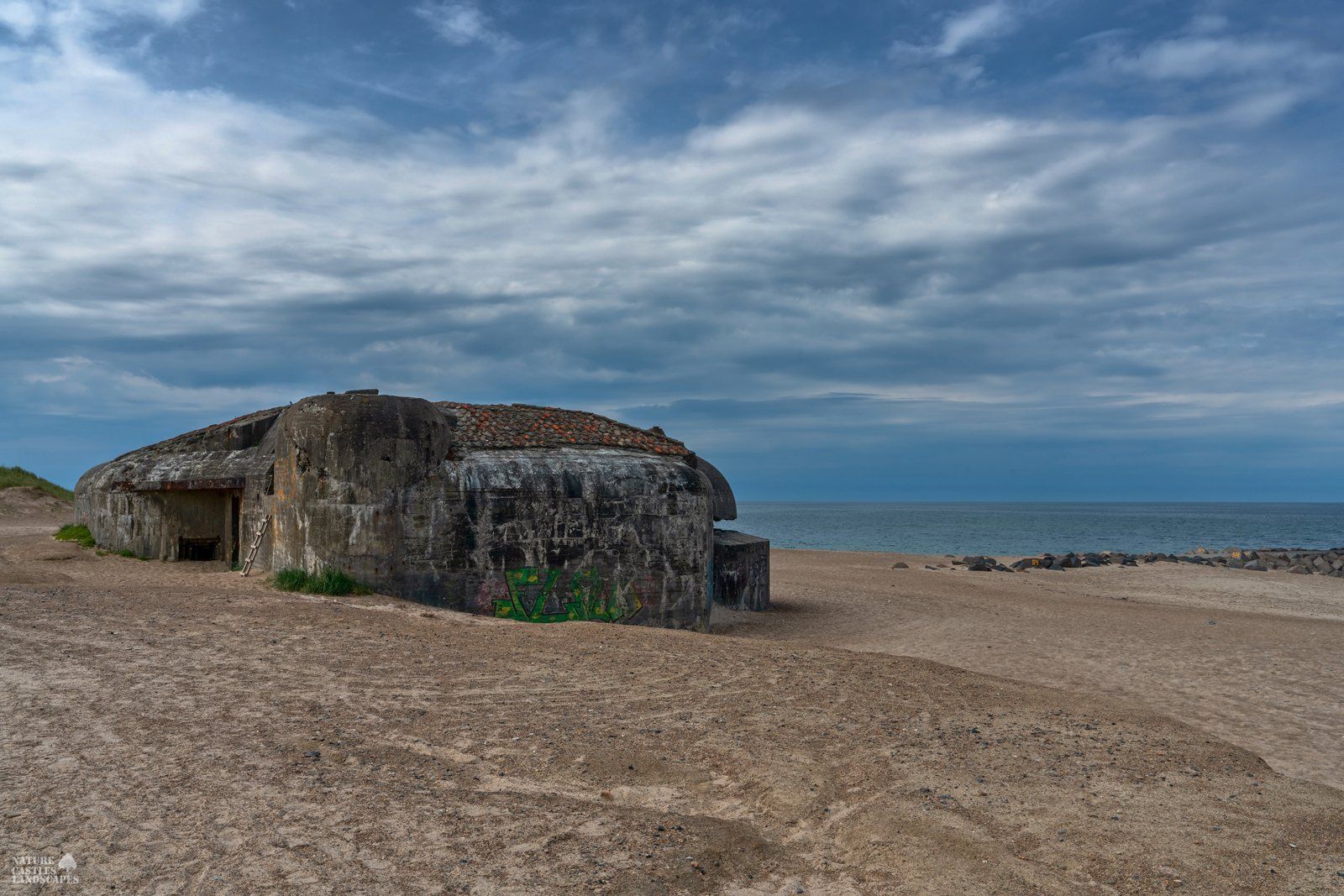 black and white photo of the bunker that looks like a turtle