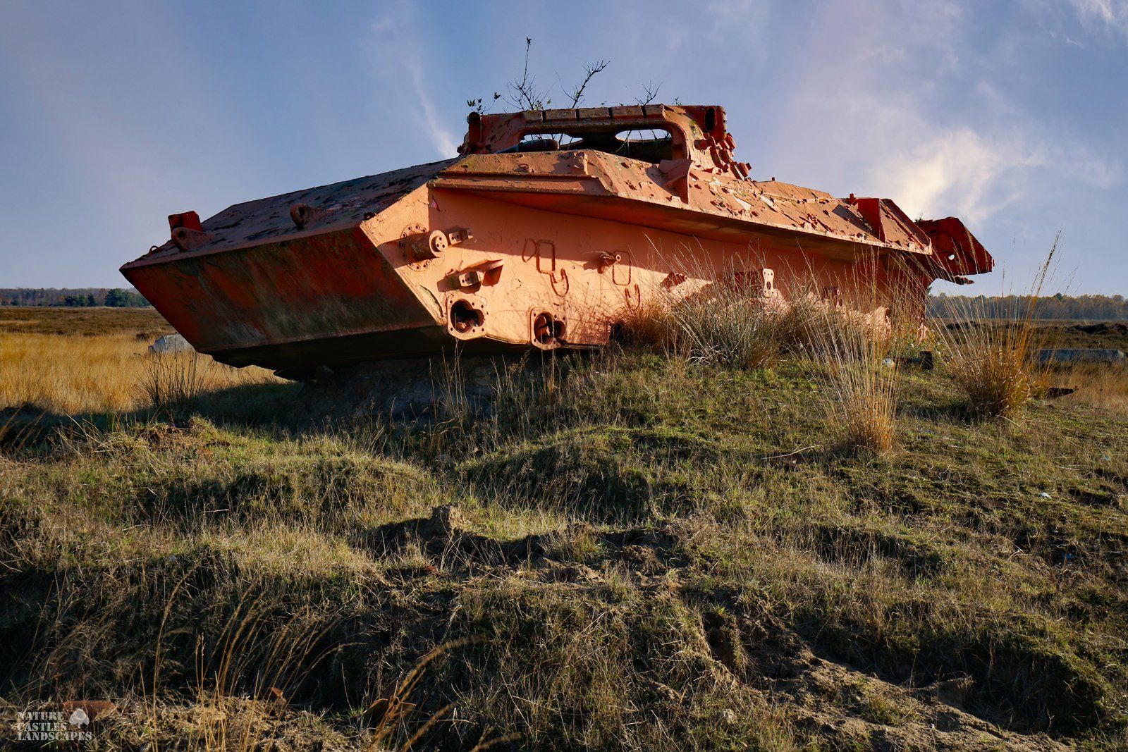 leopard tank wreck on a little hill