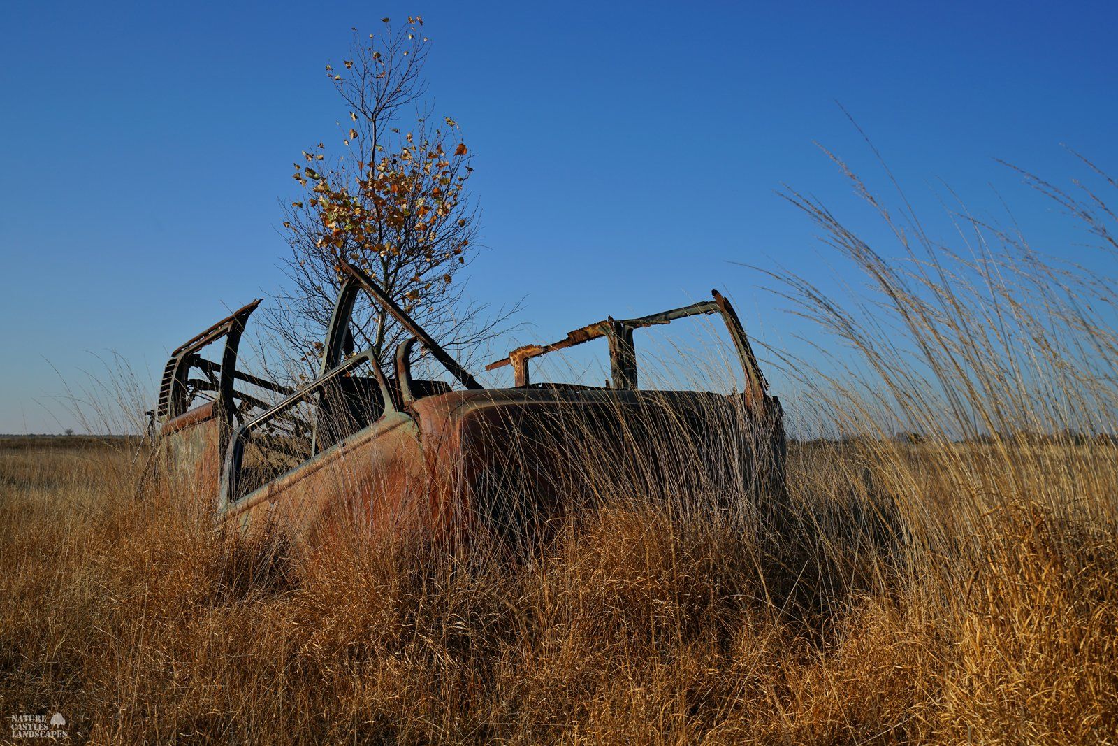 rusty car in the heathland
