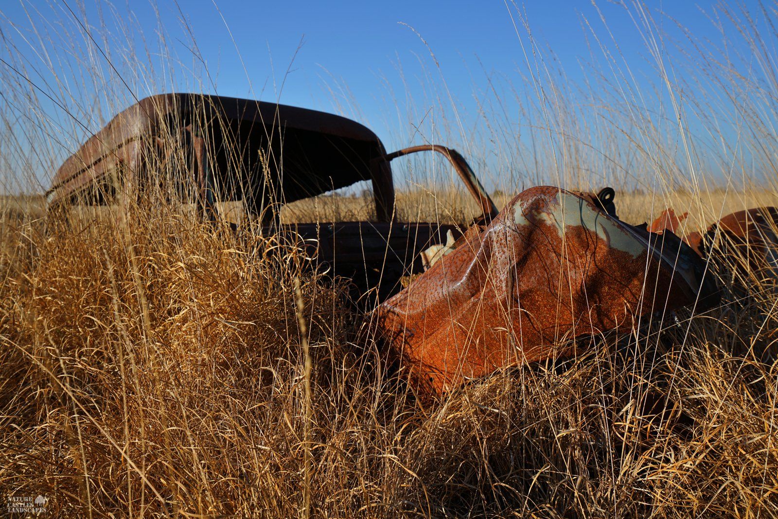 rusty car in the heathland