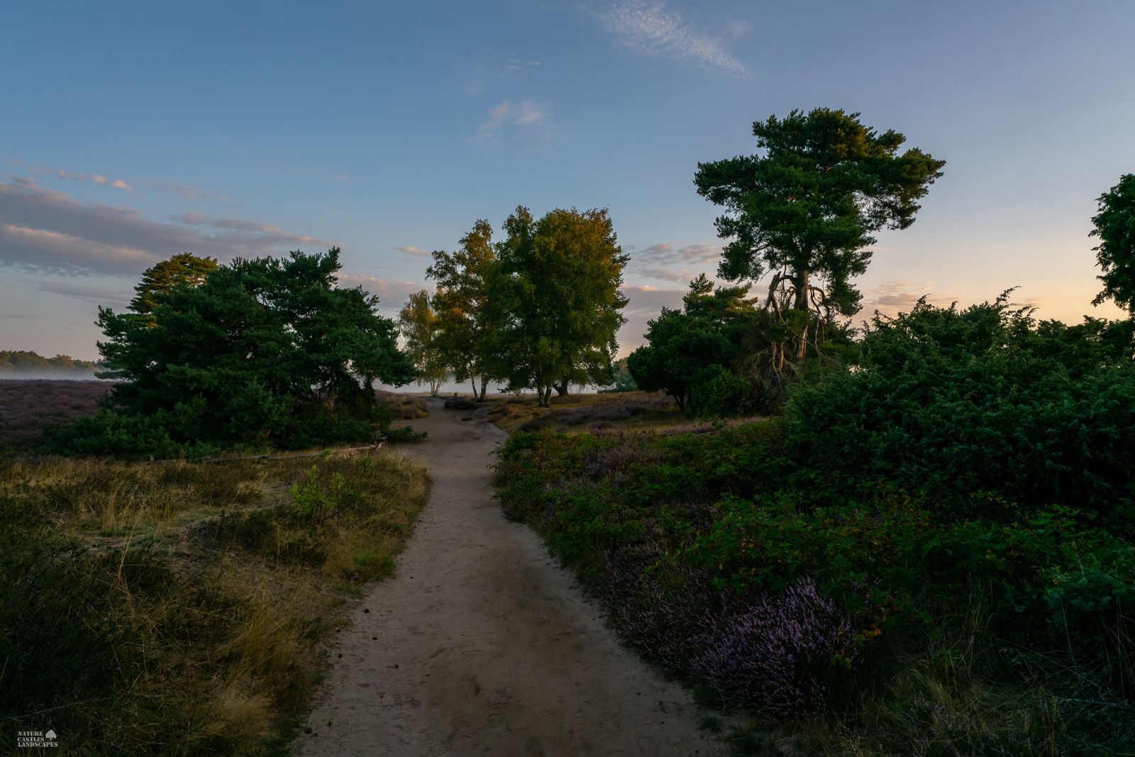 hiking trail in the early morning in the Westruper Heide