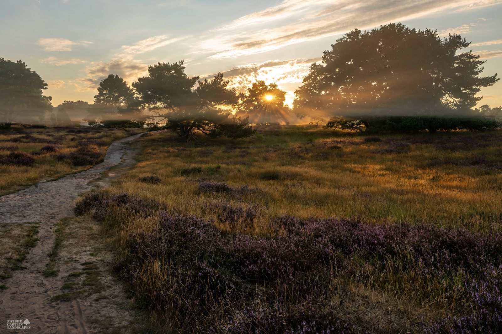 hiking trail under the early morning mist in the Westruper Heide heath