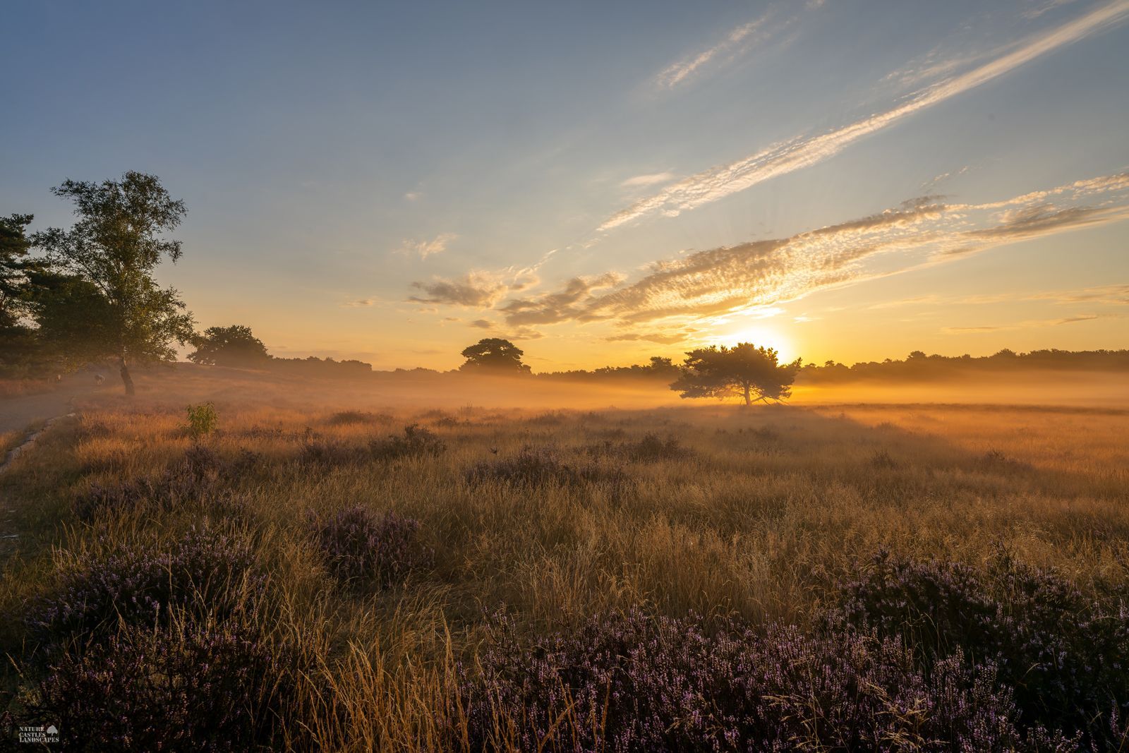 wonderful sunrise in the early morning in the Westruper Heide