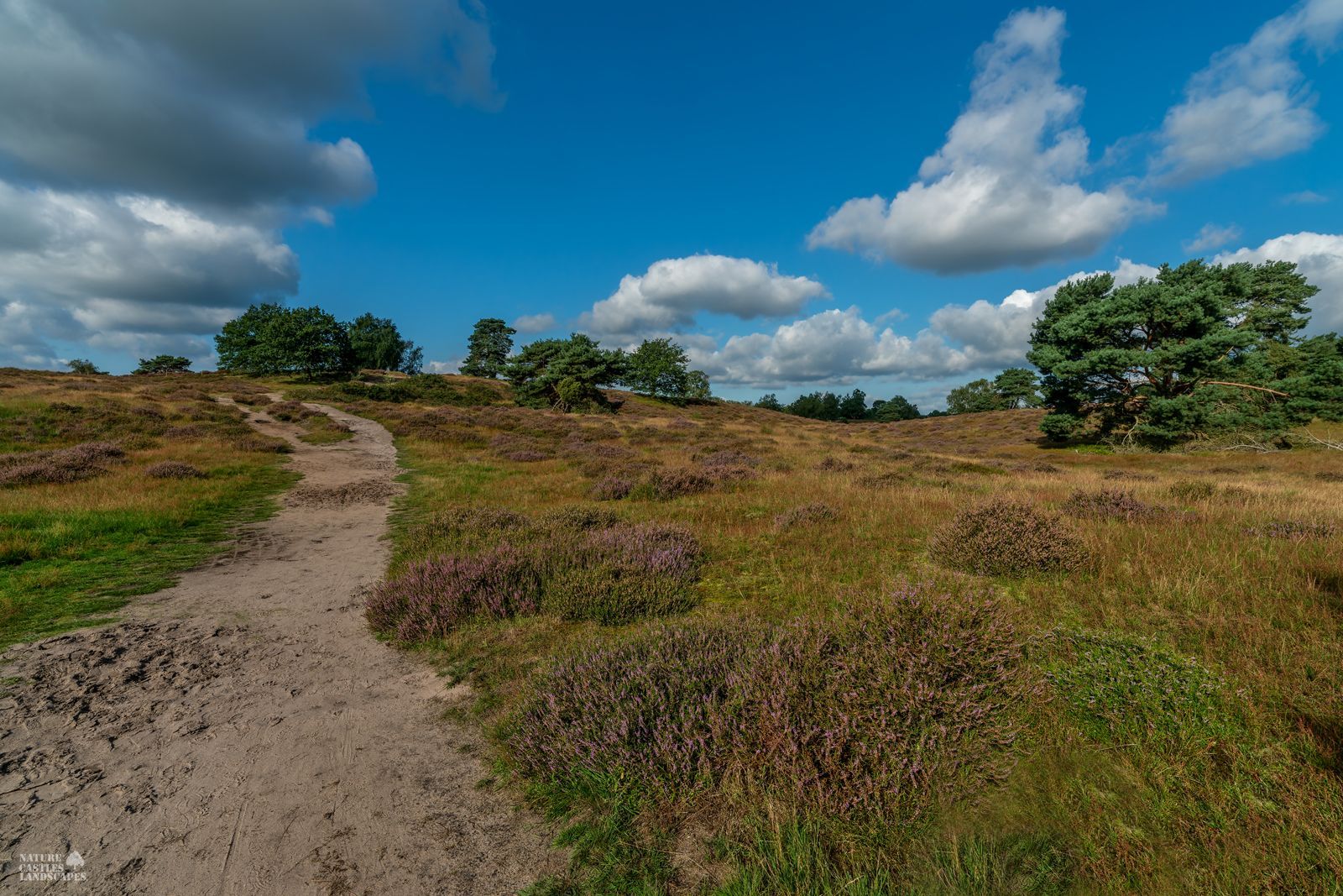 wanderweg vor dem kleinen huegel in der westruper heide