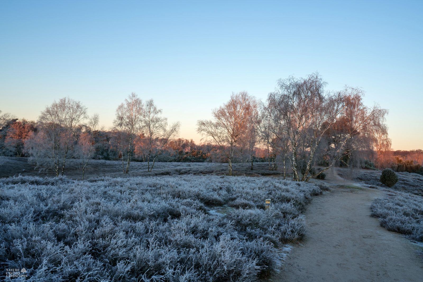 westruper heide im winter weg bei sonnenaufgang