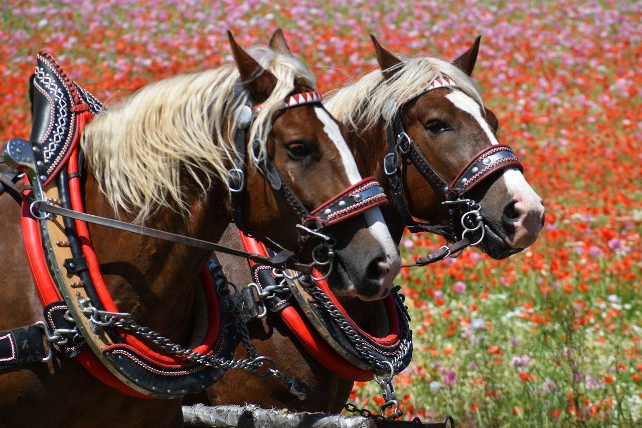 Himmelfahrt Männertrag