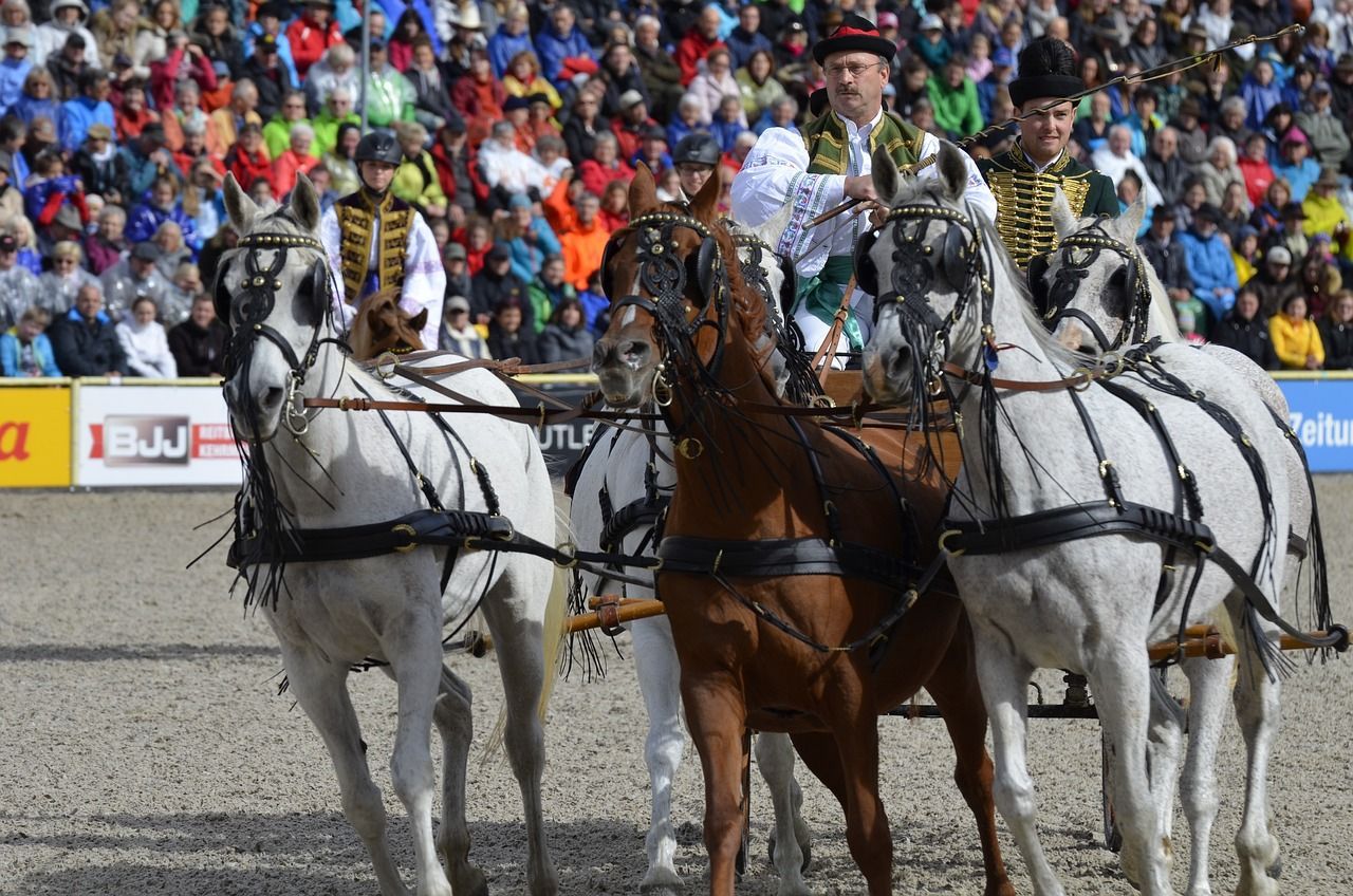 Hengstparade Moritzburg