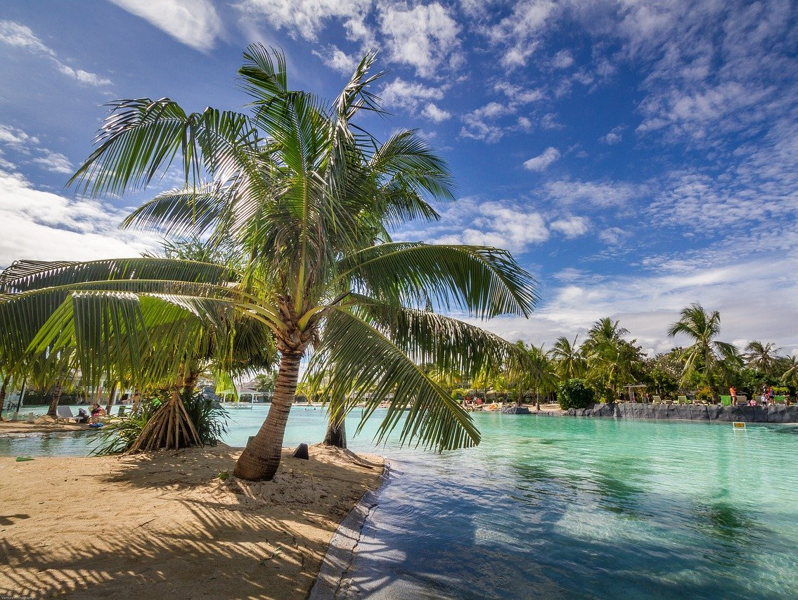 Pauschalreise Palmen, Meer und Strand