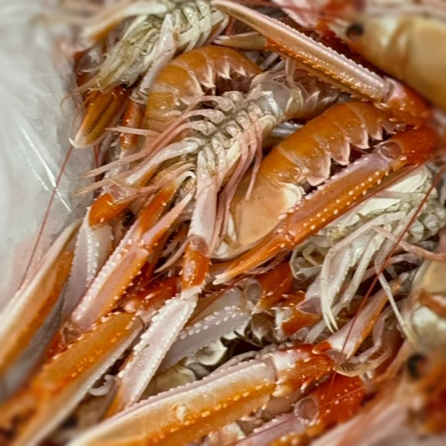 Pesce crudo a Modena