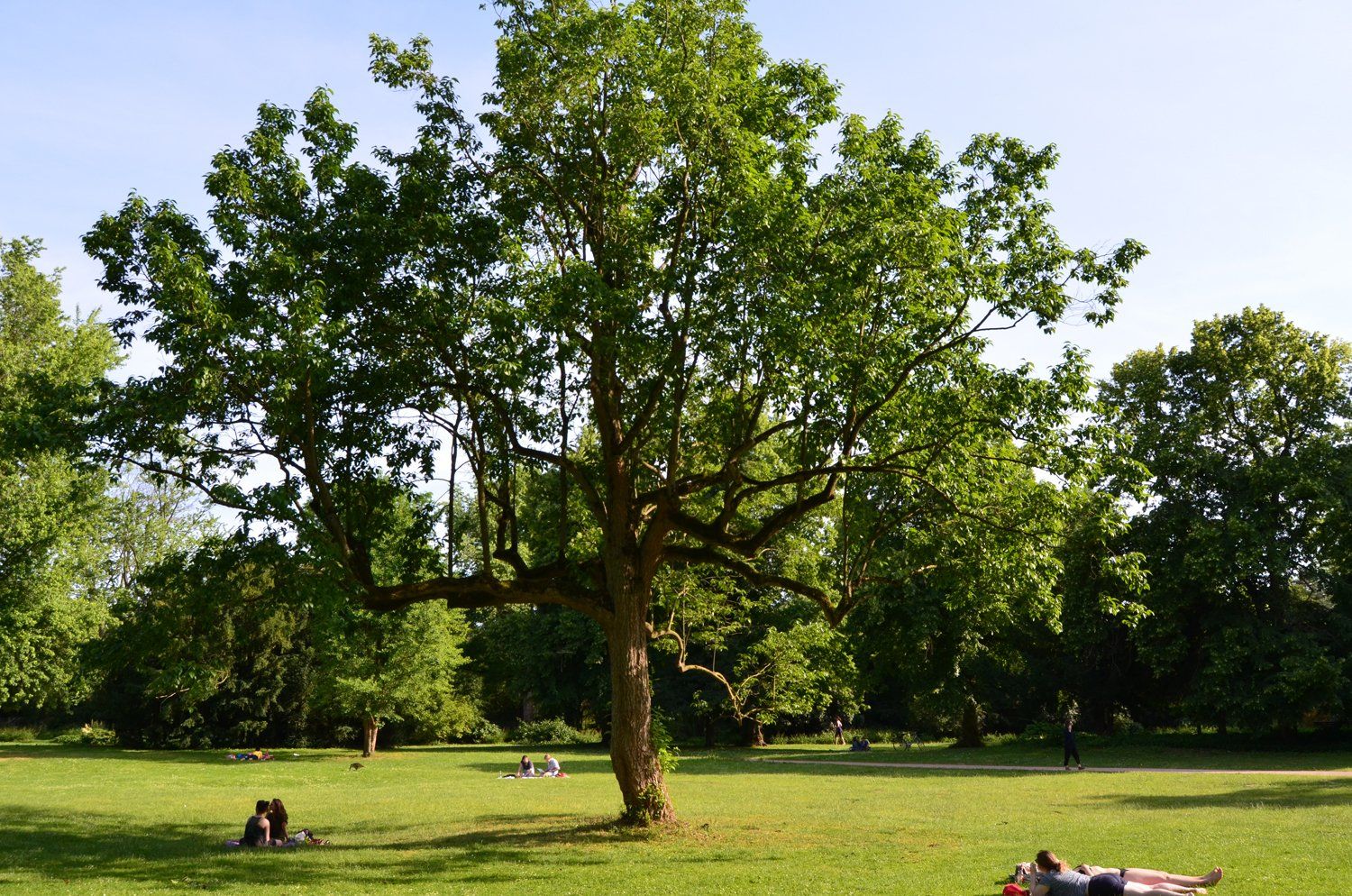 Auf freiem Feld - Das Tier in freier Wildbahn / Park Projekte