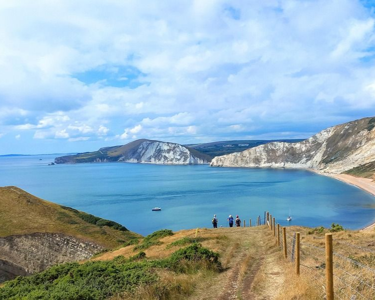 Dorset scaffolding services