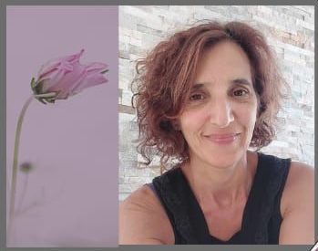 cliquer pour accéder au site de notre adhérent