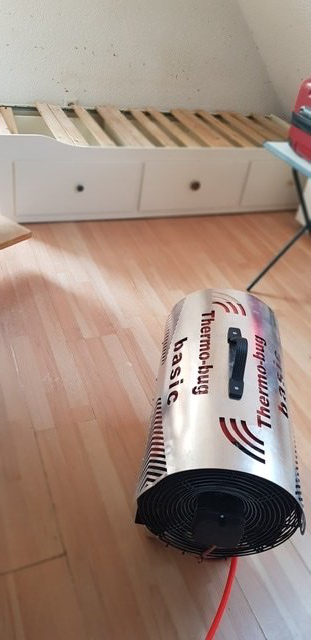 Bettwanzen Bekämpfung