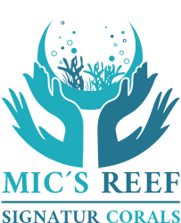 Mic´s Reef - hochwertige Korallenableger Mic´s Reef