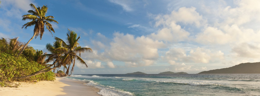 ventajas por gestionar la campaña de Google Ads de forma manual