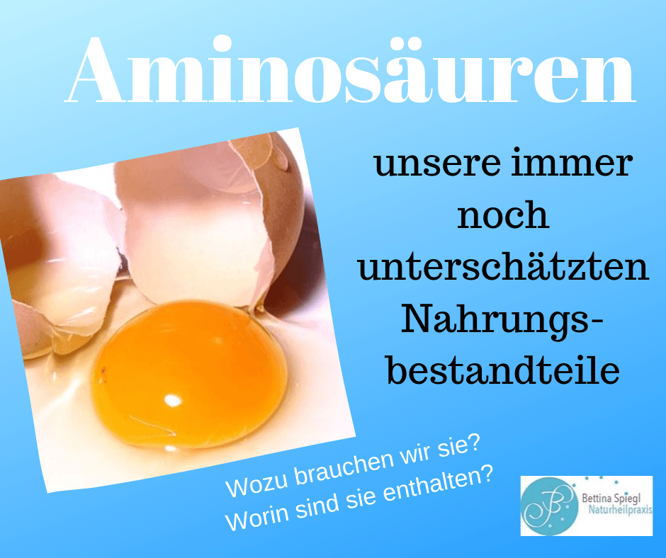 Aminosäuren, Aminosäurespiegel bei Heilpraktiker in Nürnberg