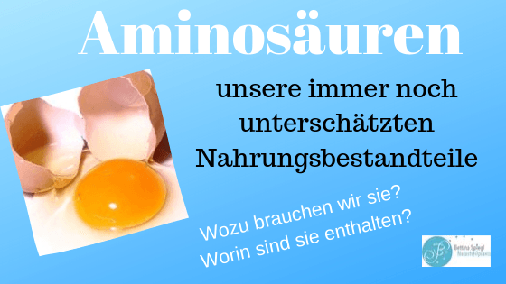 Blogbeitrag Aminosäuren Aminosäuren - immer noch unterschätzte Nahrungsbestandteile