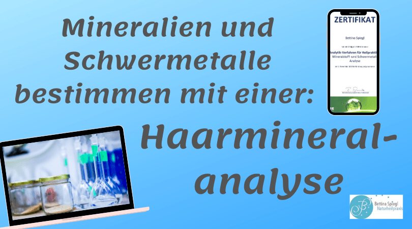 Schwermetalle über Haarmineralanalyse bestimmen bei Heilpraktiker Nürnberg Bettina Spiegl