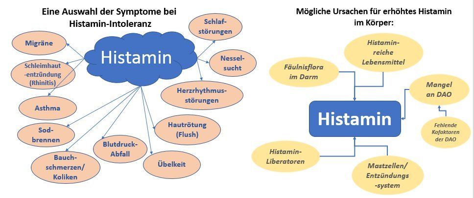 Histaminintoleranz (HIT), Symptome und Ursachen