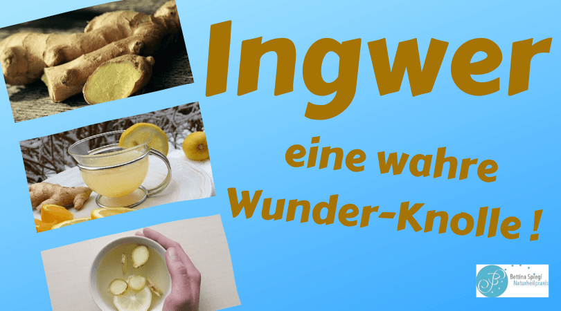 Ingwer - eine wahre Wunder-Knolle