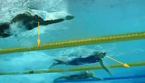 INNOVATIONS SPORTIVE NATATION