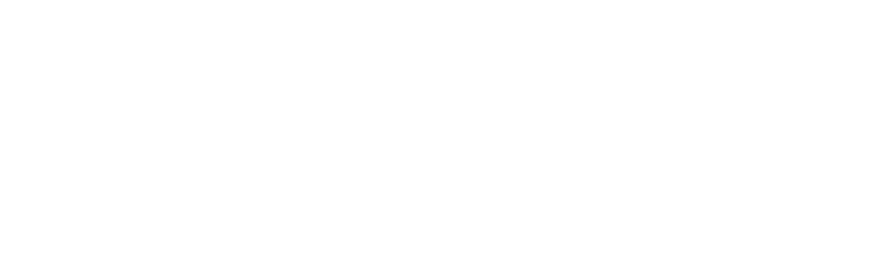 DEI SUMMIT