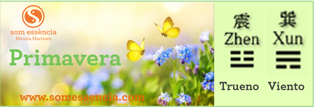 Primavera - trueno - viento - madera