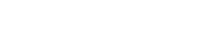 Prinz Technik Lackierung Schwerin Logo weiß