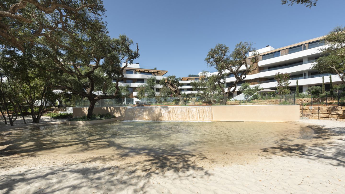 We are the local house removal experts for Sotogrande