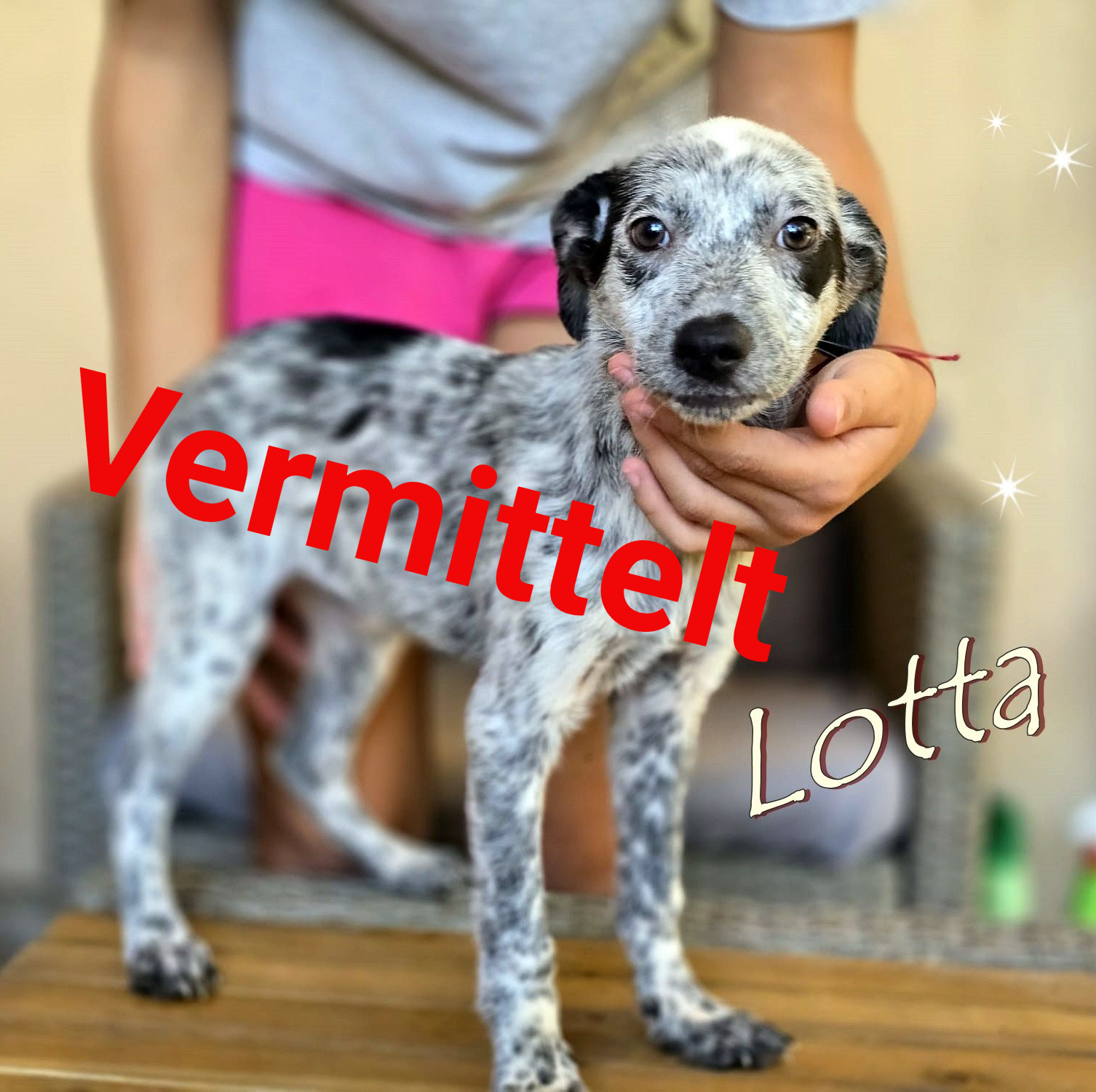 Lotta