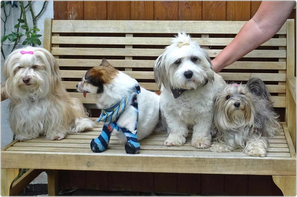 Hier kommen sie zu dem Artikel