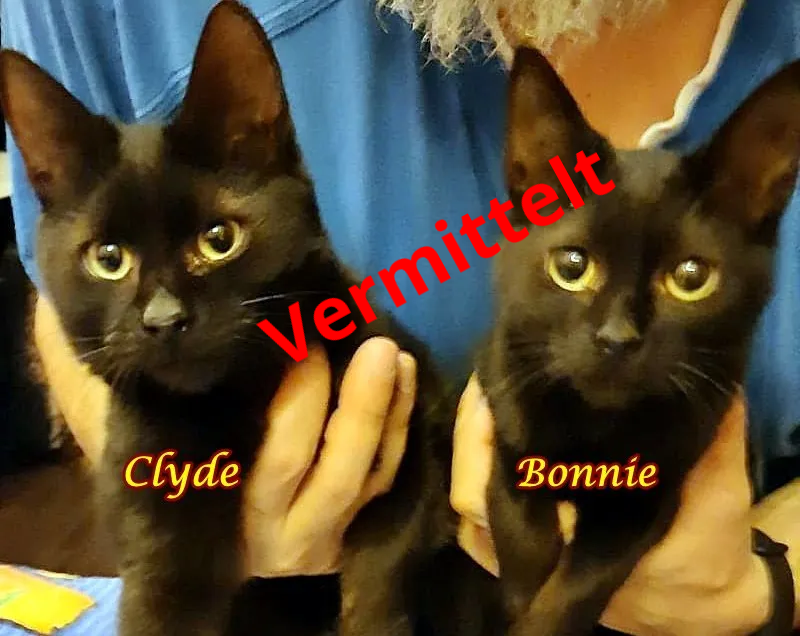 Bonnie und Clyde