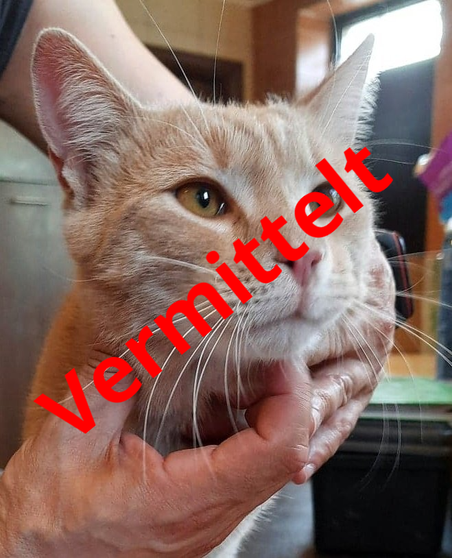 Garfield